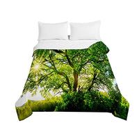 Chickw1 Couvre Lit Matelassé, 3D Forêt Imprimé Dessus de Lits Hiver Été Couvre-Lits Microfiber Gaufrée Dessus de Lit Couverture de Lit pour Lit 1-2 Personnes (Branches d'arbre,220x240cm)