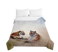 Chickwin Couvre Lit Matelassé, Motif Tigre Dessus de Lit Microfibre Dessus de Lits Couvre Lits Doux Léger Couverture de Lit pour Lit 1-2 Personnes, Toutes Les Saisons (Tigre Brun,180x220cm)