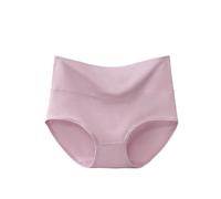 Chickwin Lot de 10 Culotte Femme,Culotte Menstruelle Lavable Taille Haute,Slip Femme Extensible Doux,Culottes et Slips Confort Respirant,Culottes pour Regle,Adolescente/Adulte (Violet Clair,L)