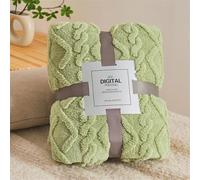 Chickwin Plaid Couverture Polaire Chaud Doux Classic Couverture en Flanelle Plaid Canape Confortable Couverture en Peluche Couverture lit 1/2 Personnes Jete de Canape (70x100cm,Vert)