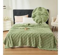 Chickwin Plaid Couverture Polaire, Couverture en Flanelle Douce Légères Chaudes Couvertures Toutes Saisons Jete de Canape pour Voyager, Lit ou Canapé -Couleur Unie (200x230cm,Vert)