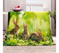 Chickwing Chickw1 Couverture Plaid Canape en Flanelle, Moelleuse Chaudes Couverture en Polaire Légères Animal Imprimer Couvertures Couverture lit pour Adultes Enfants Lit ou Canapé (Lapin,80x120cm)