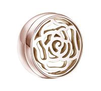 ChicLitonor Essential Oil Diffuseur Acier Inoxydable Locket Parfum Aromathérapie Bouton Magnétique Utilisation sur Décoration, Rose Or B