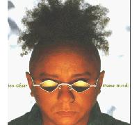 Chico Cesar - Mama Mundi [Import]