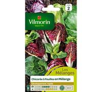 Chicorée à Feuilles en mélange