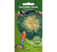 Chicorée frisée Fine de Louviers