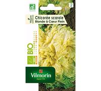 Vilmorin - Sachet graines de Chicorée Scarole Blonde à coeur plein BIO