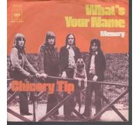 CHICORY TIP - what's your name / mono 45 rpm single