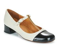 Chie Mihara Ballerines REVITA in Beige 40
