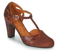 Chaussures escarpins femmes Chie Mihara KUNA Marron 41