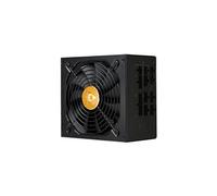 Chieftec Polaris Series 1250W - Alimentation électrique (interne) - ATX12V 2.3/ EPS12V - 80 PLUS Gold - CA 100-240 V - 1250 Watt - PFC active