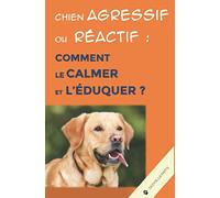 Chien agressif ou réactif : comment le calmer et l’éduquer ?