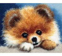 Chien animal Latch Hook Rug Kits for Adults Beginners,Poméranien mignon,DIY with Printed Canvas Crochet Yarn Handmade Embroidery Crafts Crochet for Home Decoration,90x120cm