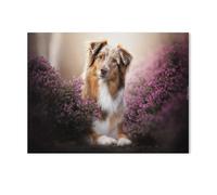 Chien Berger Australien, Mignon Animal de Compagnie，Puzzle, 1000 Pièces De Puzzle pour Adultes, Miracle De Puzzle Impossible, Jouet De Puzzle Éducatif pour Enfants（75x50cm）-G89