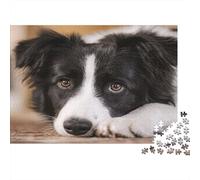 Chien Border Collie Puzzle Gros Plan sur Un Chien 1000 Pièces Carton Épais pour Experts Anti-Stress Challenge/Difficile Décoration Murale Emballage Élégant Haute Qualité 52x38cm/1000pcs