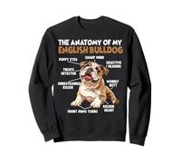 Chien Bouledogue Anglais Amoureux des Chiens Bulldogs Sweatshirt