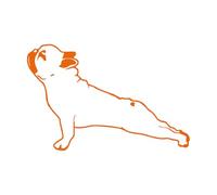 Chien Bouledogue Animal de compagnie Ami Joyeux Stickers muraux 64x97.6cm Stickers pour vitres Orange