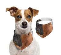 Chien Boxer au Visage Triste,Bandanas pour Chien, écharpe en Coton, Bavoirs réglables pour Animaux de Compagnie,L
