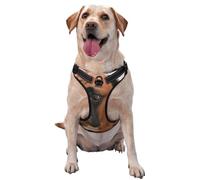 Chien Boxer au Visage Triste,Harnais pour Animaux de Compagnie, Harnais réfléchissant réglable pour Chien,XL