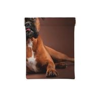 Chien Boxer couché Cool, Sac de Rangement pour Femmes, Portefeuille supérieur à Presser, Petit Porte-Monnaie, Pochette de Changement