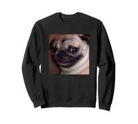 Chien Carlin Mignon drôle Effrayant Sourire Flou Meme Sweatshirt