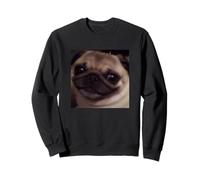 Chien Carlin Mignon drôle Effrayant Sourire Flou Meme Sweatshirt
