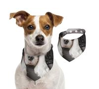 Chien Cavalier King Charles Spaniel,Bandanas pour Chien, écharpe en Coton, Bavoirs réglables pour Animaux de Compagnie,M