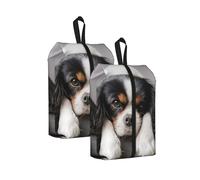 Chien Cavalier King Charles Spaniel， Lot de 2 Sacs à Chaussures de Voyage, Sacs de Rangement imperméables, Organisateur de Chaussures pour Les Voyages et la Maison