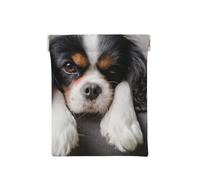 Chien Cavalier King Charles Spaniel, Sac de Rangement pour Femmes, Portefeuille supérieur à Presser, Petit Porte-Monnaie, Pochette de Changement