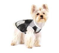 Chien Cavalier King Charles Spaniel,T-Shirt sans Manches en Coton pour Animaux de Compagnie, Gilet Respirant, Extensible et Doux,L