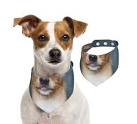 Chien Chihuahua Mignon et drôle,Bandanas pour Chien, écharpe en Coton, Bavoirs réglables pour Animaux de Compagnie,L