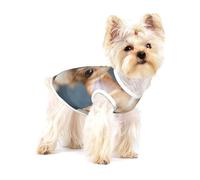 Chien Chihuahua Mignon et drôle,T-Shirt sans Manches en Coton pour Animaux de Compagnie, Gilet Respirant, Extensible et Doux,S