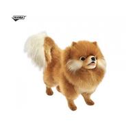 Chien Chow Chow 36 Centimetres