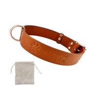 Chien Collier Cuir, Qualité Cuir Souple, Fait À La Main en Espagne, Petit Moyen Grand Chien. Cognac et Or Rose.
