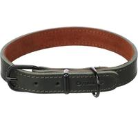 Chien Collier Montana Vert M 37-45cm 20mm