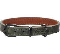Chien Collier Montana Vert S 29,5-35,5cm 15mm