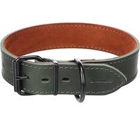 Chien Collier Montana Vert XL 49-59cm 40mm