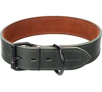 Chien Collier Montana Vert XXL 53-63cm 40mm