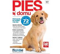 Chien dans la maison