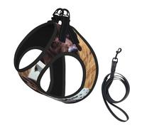 Chien d'arrêt Allemand à Poil Court Automne,Harnais pour Animaux de Compagnie, Harnais réfléchissant réglable pour Chien,S
