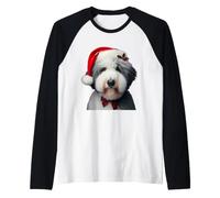 Chien de Berger Anglais avec Bonnet de Père Noël Manche Raglan