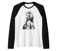 Chien de lévrier Afghan drôle avec Lunettes de Soleil Manche Raglan
