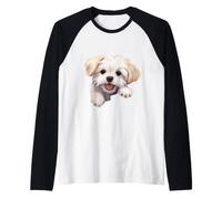 Chien de Race Maltais dans Une veine de câlins Qui Regarde Heureux Manche Raglan