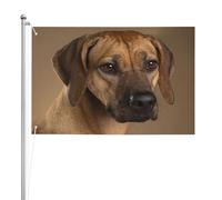 Chien de Rhodésie à crête dorsale,Drapeau de jardin, bannière décorative, drapeau double face, 2 x 3 pieds, pour extérieur et intérieur