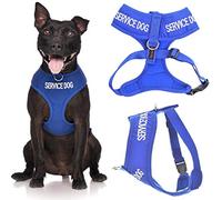 Chien de Service Bleu Couleur Coded Nylon rembourrée Avant étanche Retour Clip Non-Pull Moyen Vest Harness (Ne Pas déranger) prévient Les Accidents en avertissant Les Autres de Votre Chien à l'avance