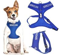 Chien de Service Bleu Couleur Coded Nylon rembourrée Avant étanche Retour Clip Non-Pull Petit Vest Harness (Ne Pas déranger) prévient Les Accidents en avertissant Les Autres de Votre Chien à l'avance