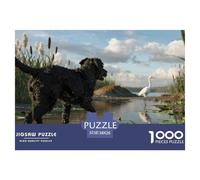 Chien d'eau espagnolPuzzle Adulte 1000 PiècesChien Contes Magiques, Adultes/Enfants, Illustration Originale, Puzzle Qualité Supérieure, Détente 38x26cm/1000pcs