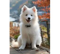 Chien Diamond Painting Adulte, Blanc Diamond Painting, DIY Round Rhinestone Crystal Point de Croix complet kit, 5D Mosaic Art Kit Pour Enfant et débutants, Murale Décoration Maison 50x70cm 0U-49