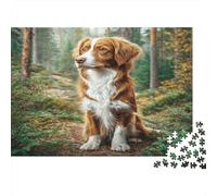 Chien Domestique Papier résistant Épagneul Breton Assis dans Une forêt ensoleillée Puzzle Décoration d’intérieur de Collection 70x50cm/1000 pièces
