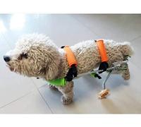 Chien Fauteuil Roulant pour Chien Fauteuil Roulant pour Chien Jambes Arrière Déambulateur avec Roues Meilleur Ami Aide Commune pour Chiens Chat Exercice Support de Roue Fauteuils Roulants (X)